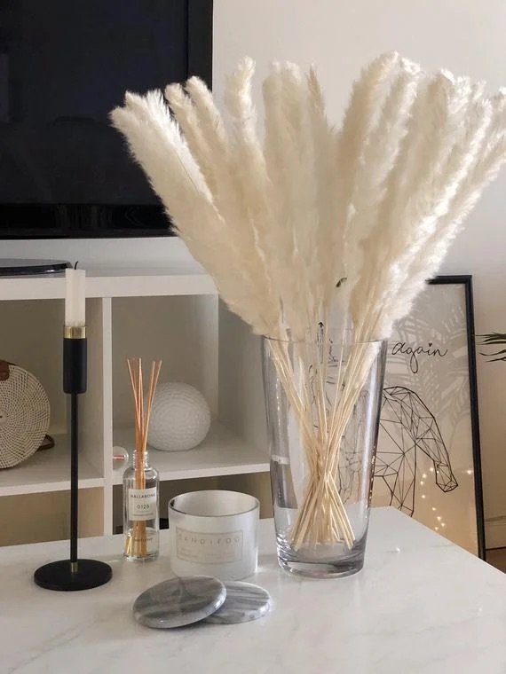 Ghislaine Pampas Reed