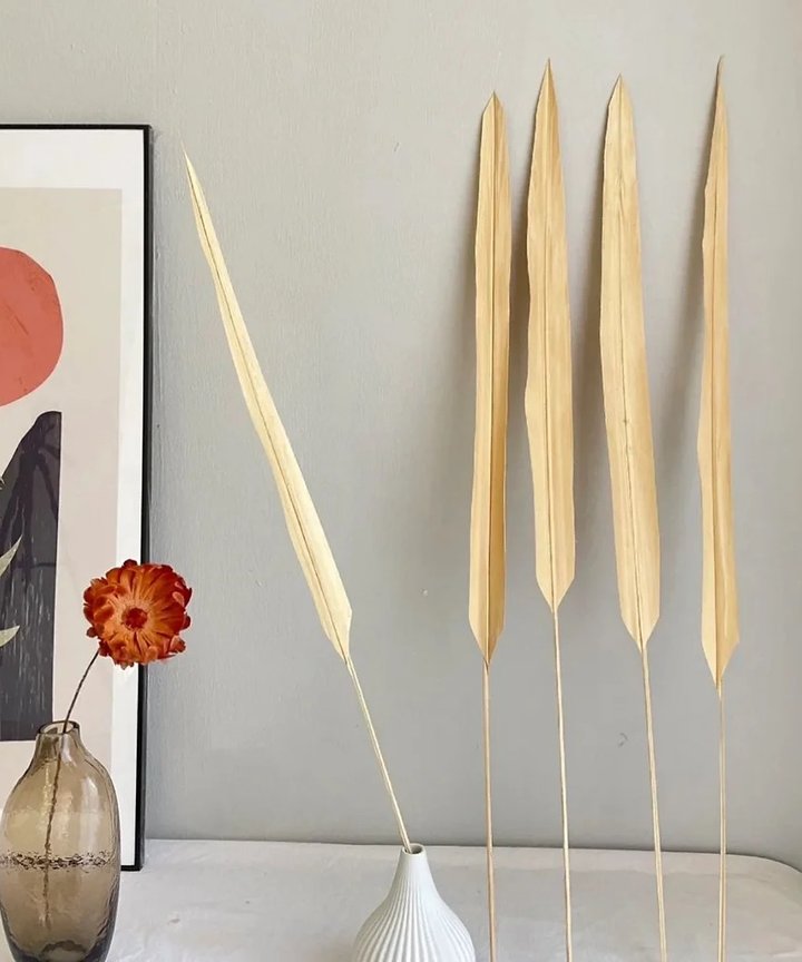 Gwen Bleached Long Stem Palm