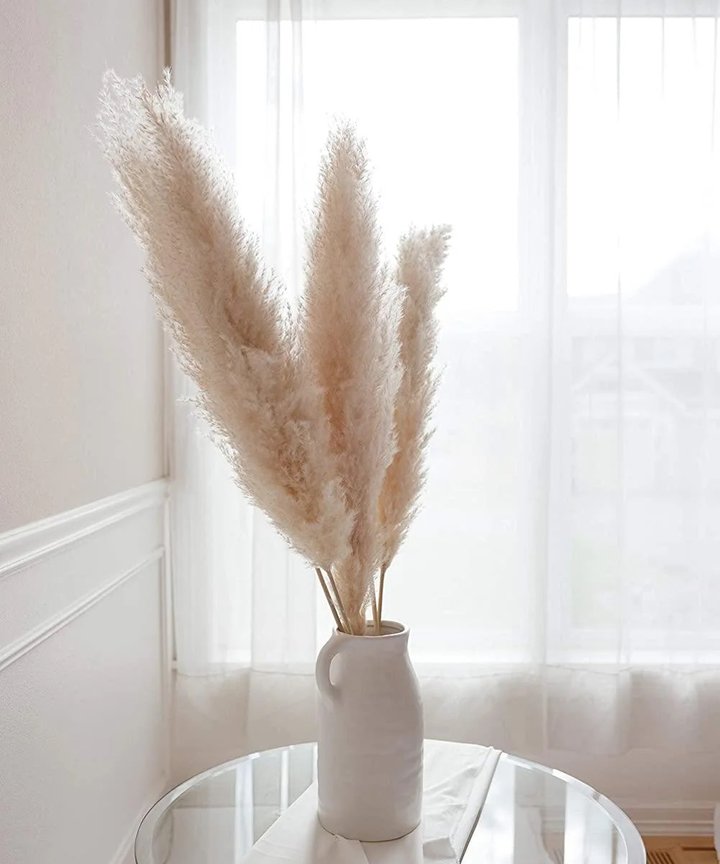 Gillinea Dried Pampas - Bundle