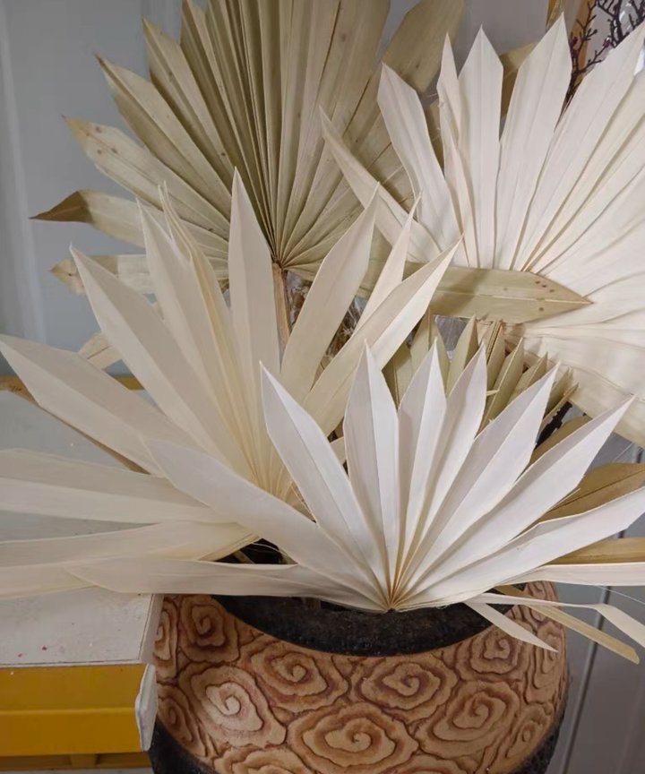 Gemma Sun Palms - Bleached