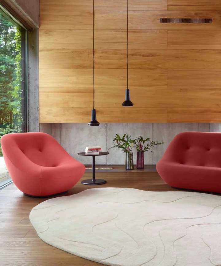 Regine Soft Irregular Rug