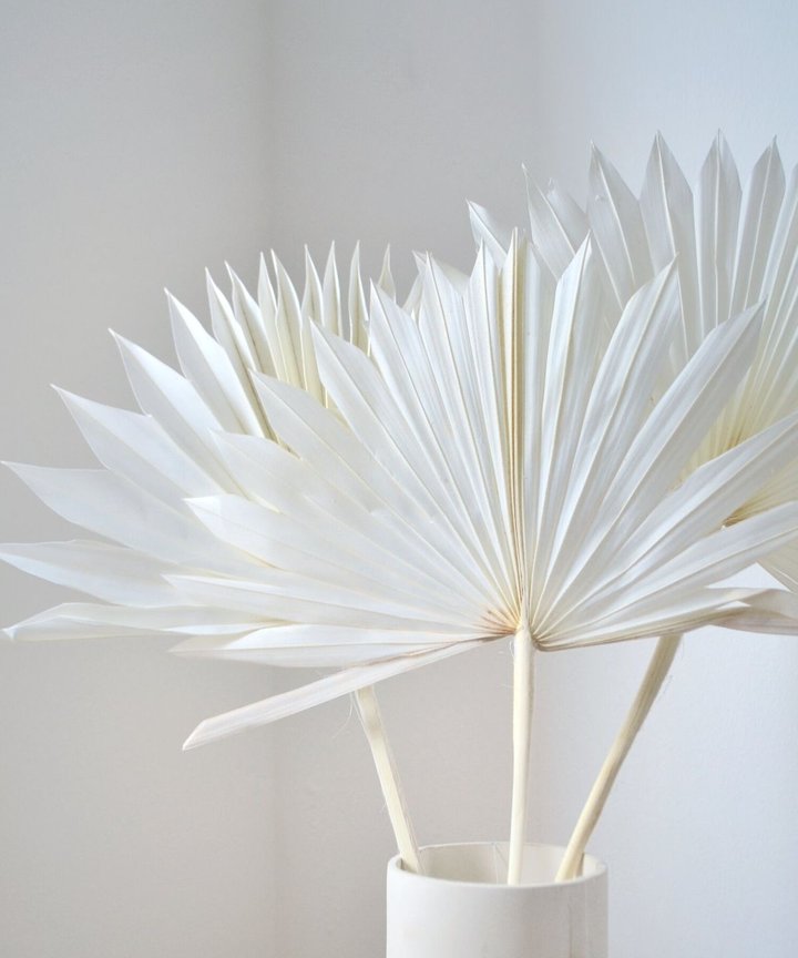 Gemma Sun Palms - Bleached