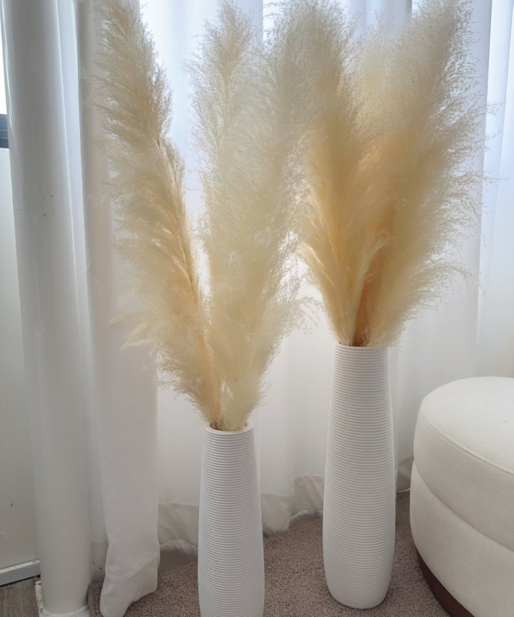 Gillinea Pampas Vase Arrangement