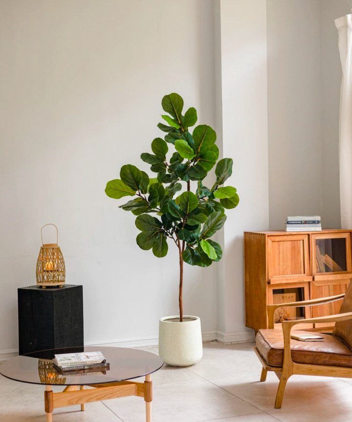 Nadira Fiddle Leaf Tree