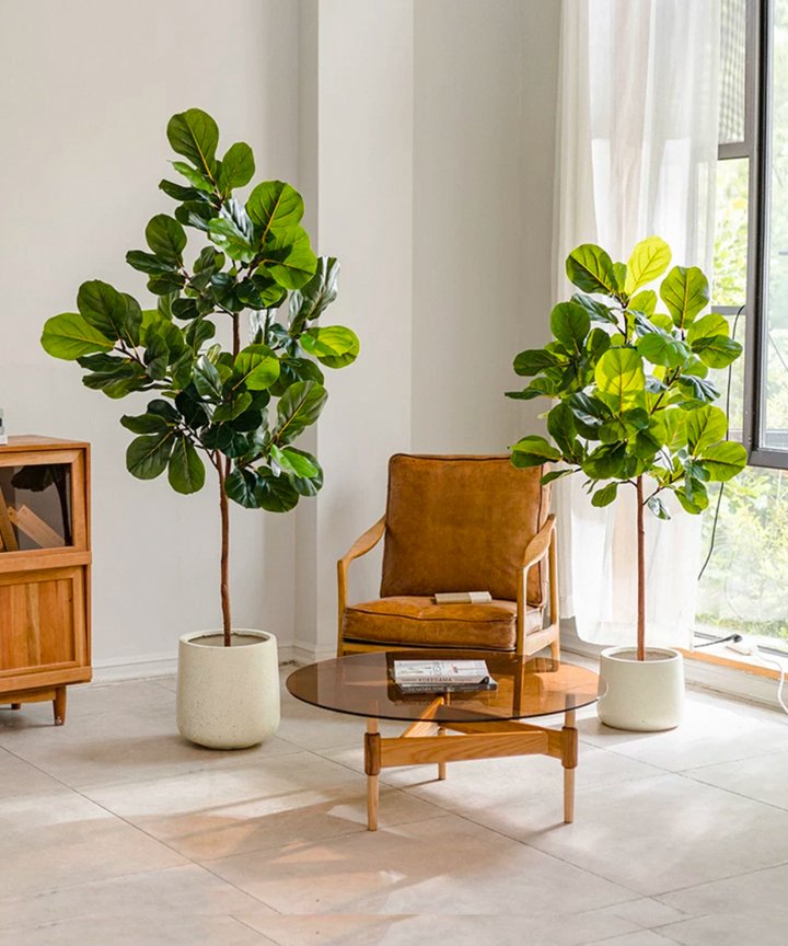 Nadira Fiddle Leaf Tree